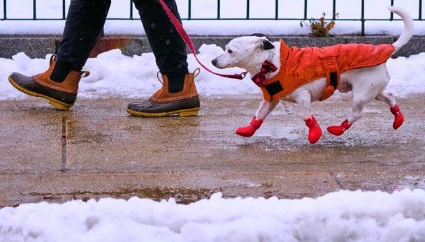 Мороз слабшає, але повільно: де 21 січня очікується -20°, а де пригріє до +2°