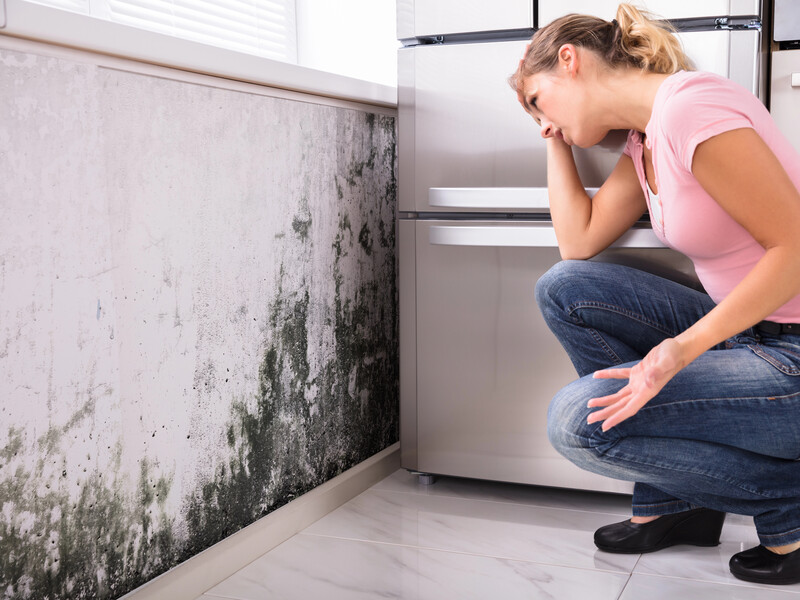 Зробіть це із шафами – і пліснява зникне. Прості поради, які допоможуть подолати грибок у домі