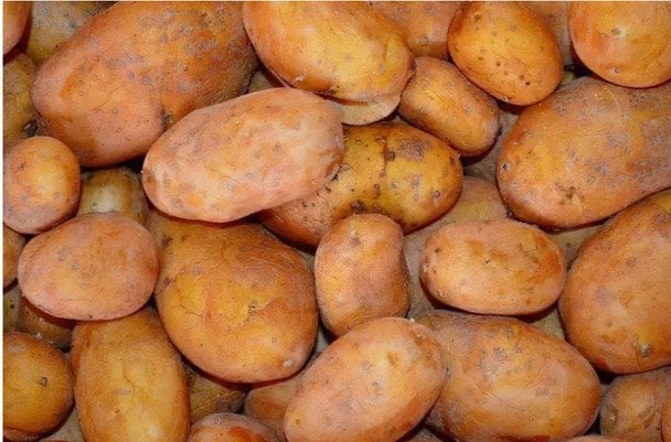 Підмерзла картопля: що робити, чи можна її їсти