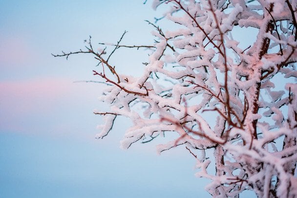 Погода на 18 січня: де в Україні буде найхолодніше