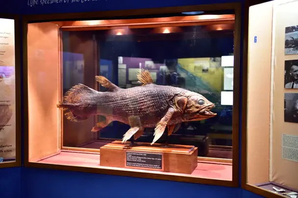 Улов, який шокував науку: як випадкова знахідка перевернула уявлення вчених