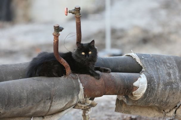 У Києві масові прориви труб у будинках: вода затоплює під’їзди (відео)