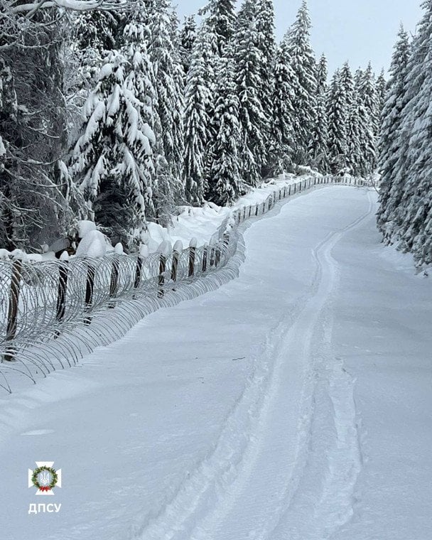 Не людина і не дрон: на високогір’ї знову з’явився несподіваний "інспектор" (фото)
