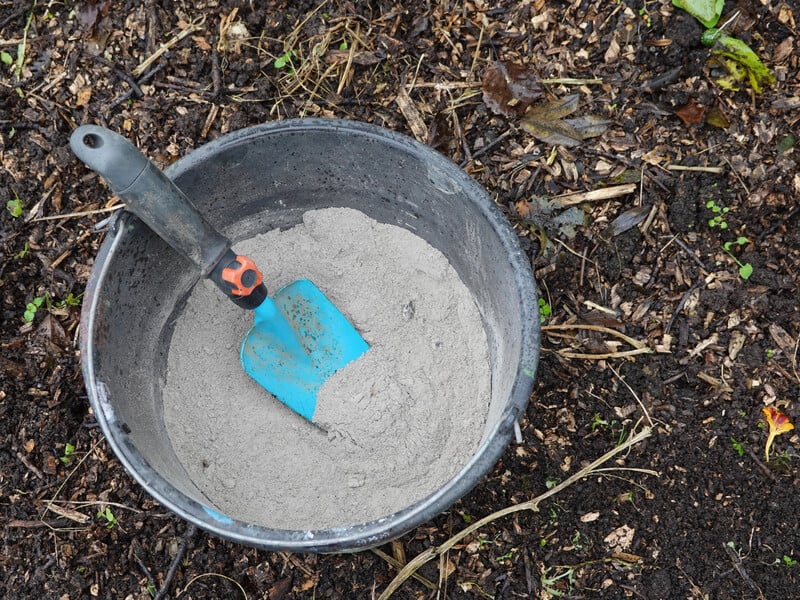 Розкидайте це під деревами в саду – і влітку зберете щедрий урожай яблук і груш