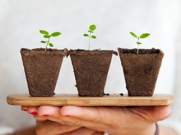 Як у січні 2026 року підготувати ґрунт для розсади, який дає результат уп'ятеро кращий за гній