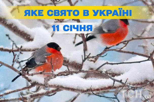 Яке завтра, 11 січня, свято — все про цей день, яке церковне свято Яке завтра, 11 січня, свято — все про цей день, яке церковне свято