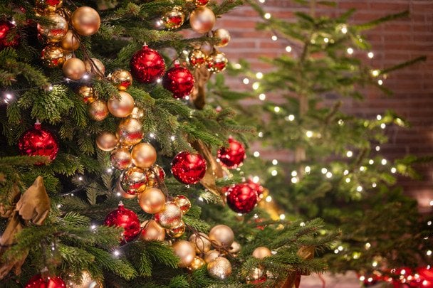 Мольфар назвав дати, коли найкраще прибрати новорічну ялинку