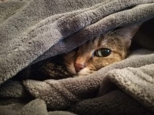 Так гріються альпіністи, коли на вулиці -30 °C. Чотири поради, щоб не замерзнути у крижаній квартирі