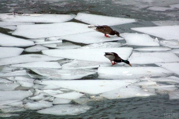 Коли у Києві припиняться морози: відома синоптикиня поділилася прогнозом "для своїх"