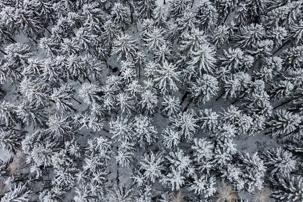 Прогноз погоди на 11 січня: де сьогодні буде найхолодніше