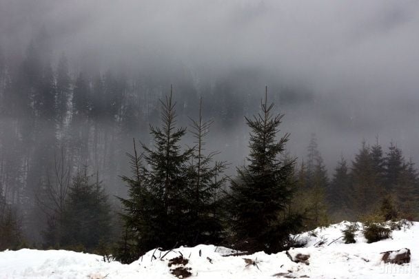 Землетрус в Україні: одну з областей сколихнули поштовхи