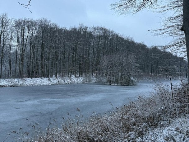 Температура впаде до -25: прогноз погоди на сьогодні, 17 січня