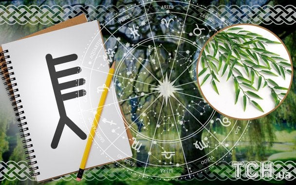 Кельтський гороскоп дерев на січень 2026 року: адаптація, фокус і повільний старт