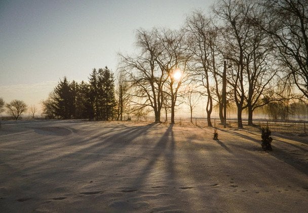 Штормовий вітер та сніг: синоптики попередили українців про негоду