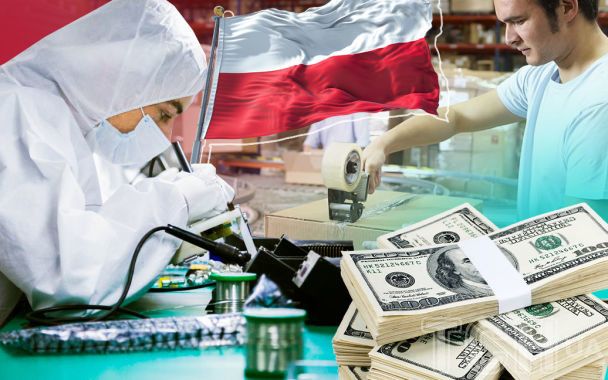 Польща очолила рейтинг країн ЄС за кількістю працевлаштованих українців: де працюють