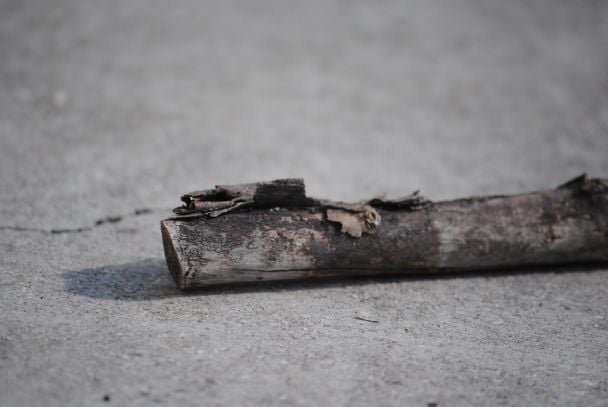 Чоловіка та жінку покарали 140 ударами палицею за інтим: що вони зробили