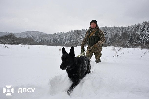 Зимове затишшя: ДПСУ фіксує спад спроб незаконного перетину кордону