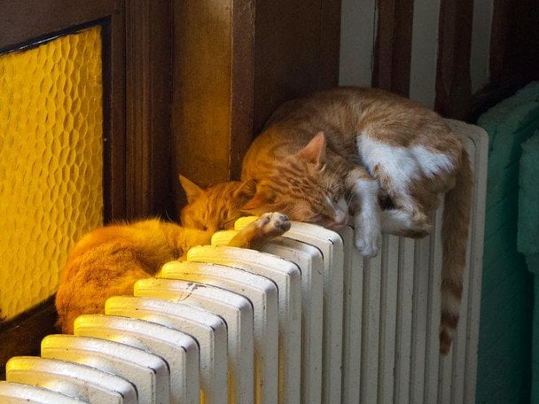 У Києві без тепла залишаються майже дві тисячі будинків: де найскладніша ситуація