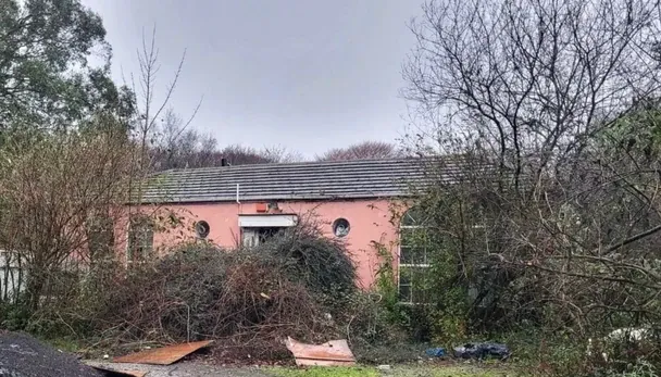 Купівля будинку наосліп: як несподівана знахідка змінила життя подружжя