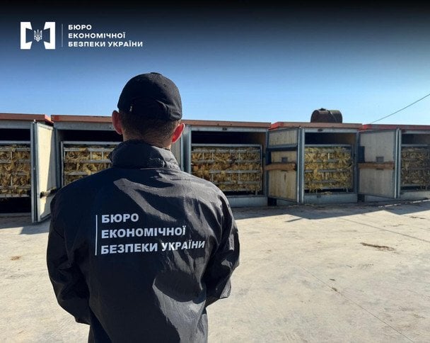 Ефективність БЕБ помітно зросла: за рік обсяги вилучення нелегального тютюну збільшилися майже на 60% Ефективність БЕБ помітно зросла: за рік обсяги вилучення нелегального тютюну збільшилися майже на 60%