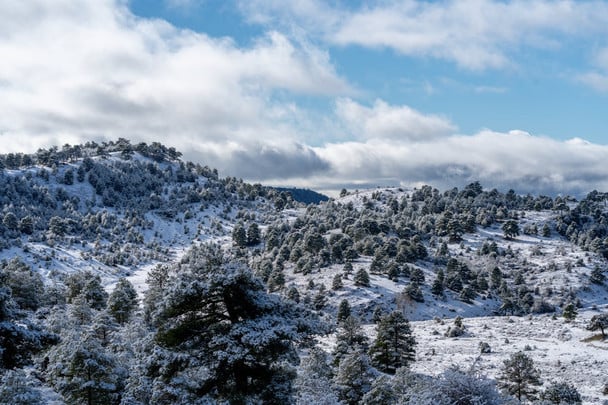 Січень показує свій характер: якою буде погода сьогодні