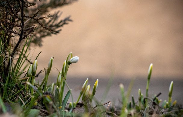 Вдарять морози до -13: синоптик назвав найнебезпечніші дати у березні