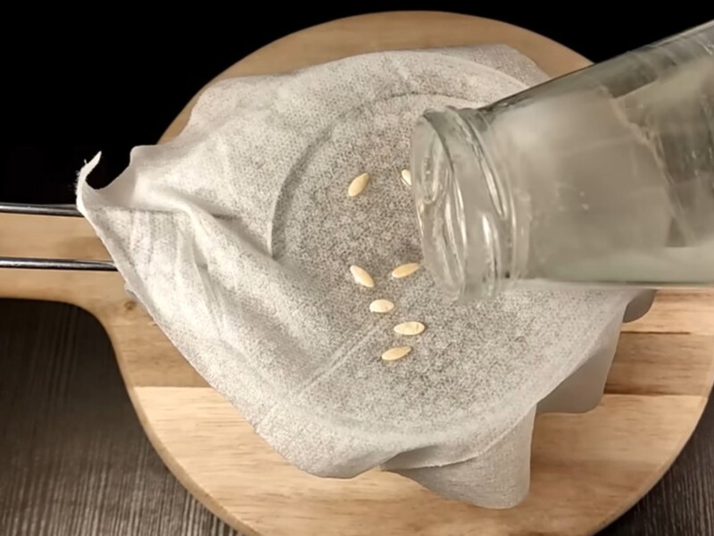 Усе насіння завдяки цьому методу проростає всього за кілька днів. Секрет щедрого врожаю – у пакеті