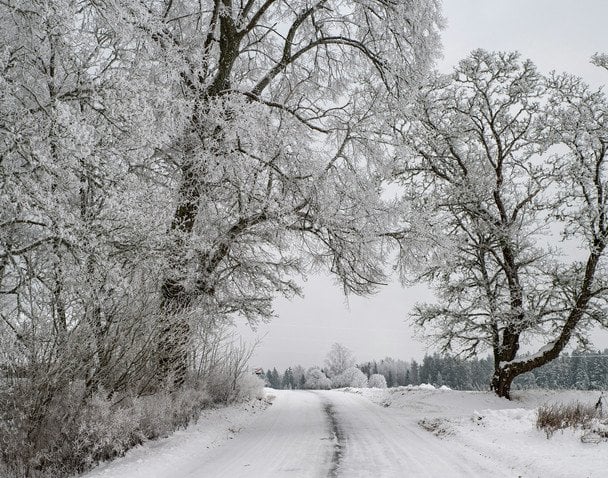 Сильні морози по всій Україні: якою буде погода сьогодні