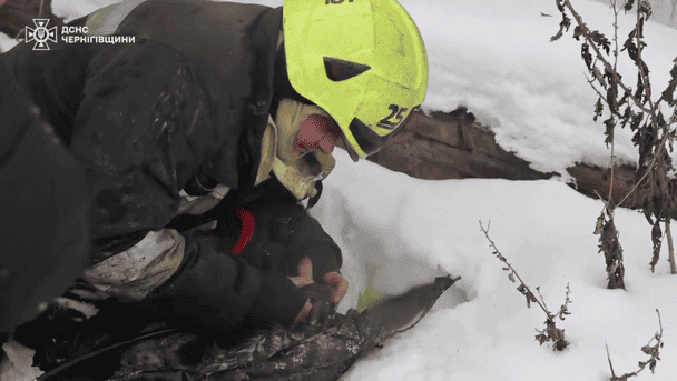 Вогнеборці врятували пухнастика з пожежі в Чернігові (відео)
