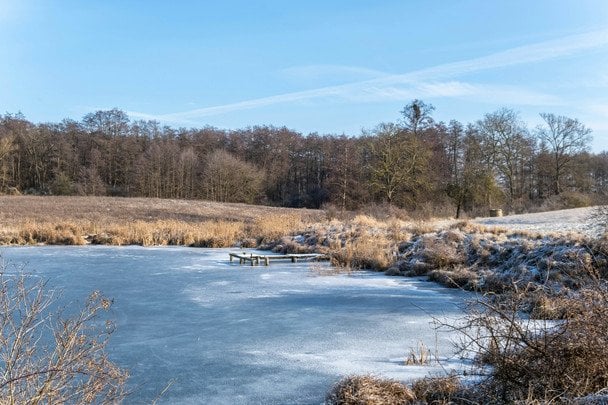 Погода в Україні: де сьогодні вдарять морози до -20