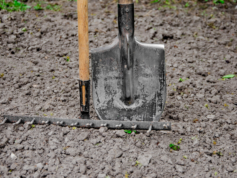 Досвідчені городники в березні розкидають це на своїй ділянці. Розкрито простий секрет родючого ґрунту
