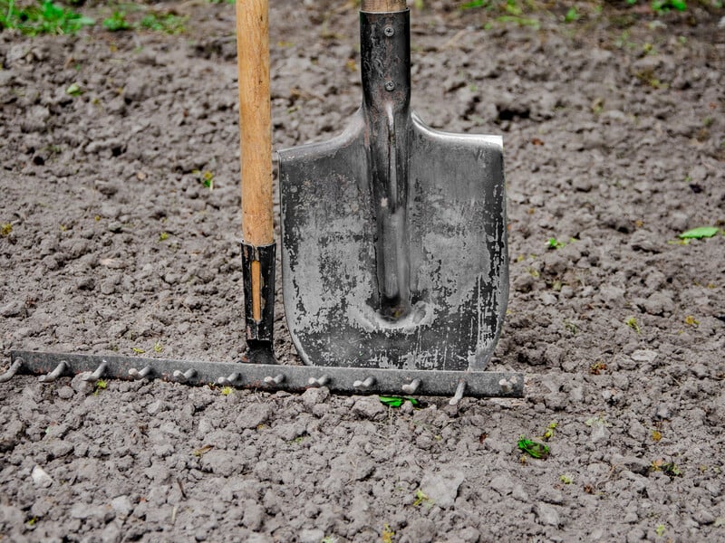У березні розкидайте це на своїй ділянці – і город завалить урожаєм. Бюджетний метод підживлення