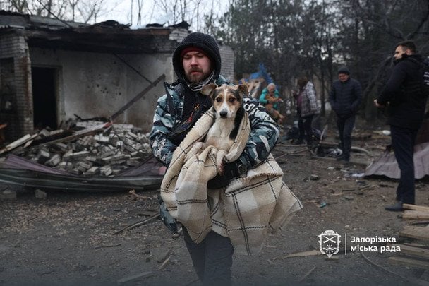 РФ атакувала собачий притулок в Запоріжжі: є загиблі й поранені тварини (фото, відео 18+)