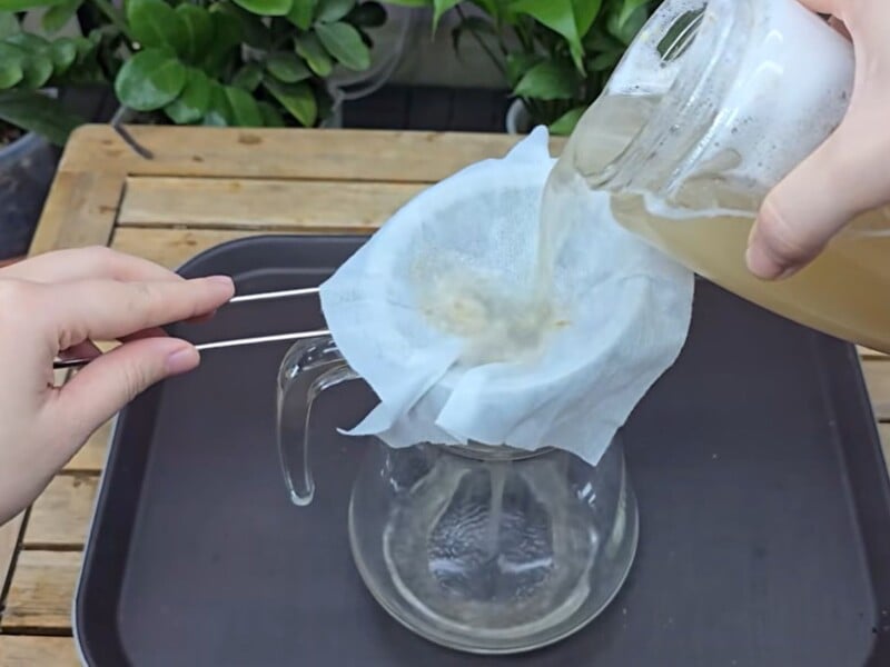 Протирайте листя орхідеї цим настоєм двічі на тиждень – і в неї з'являться нові квітконоси. Рецепт