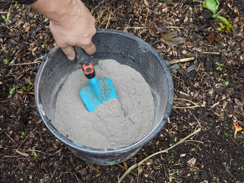 Розчиніть це дешеве добриво у воді – і плодовий сад легко відновиться після сильних морозів