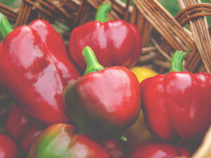 Король овочевої ікри під назвою "Слонове вухо". Чому всі городники люблять саме цей сорт перцю