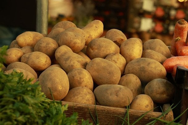 Через рекордний врожай картоплі її почали роздавати безкоштовно (фото)