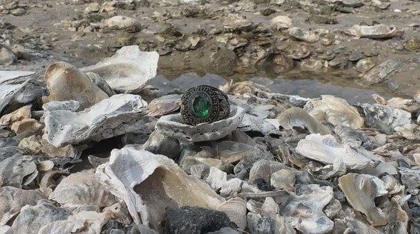 Загублений перстень знайшли через 44 роки на пляжі після семи ураганів і п’яти штормів — фото