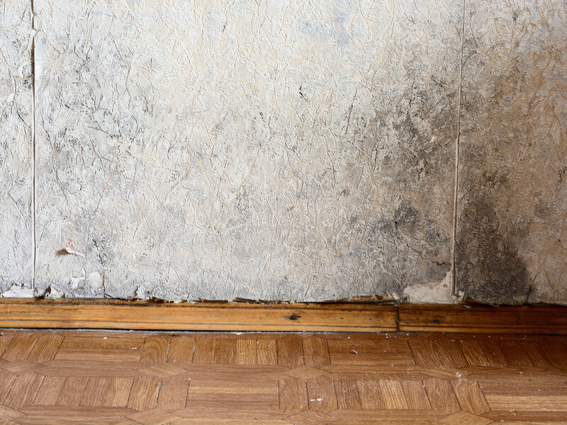 Прикріпіть це до шафи – і стіна за нею ніколи не почорніє від плісняви