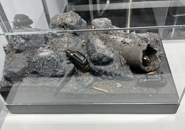 Рої кіборг-комах замість дронів: у Німеччині презентували нову військову розробку (фото)