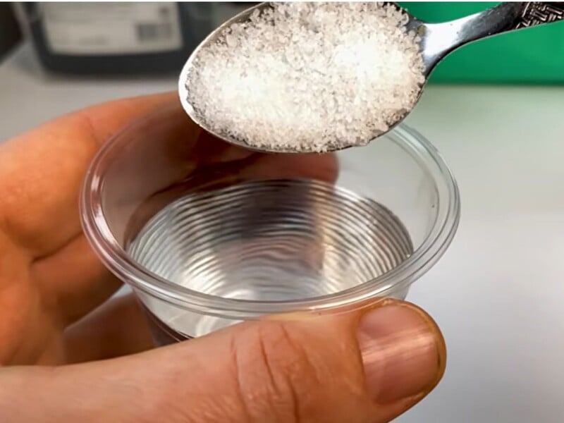 Розчиніть це у воді – і насіння дасть 100-відсоткові сходи. Розкрили секрет щедрого врожаю