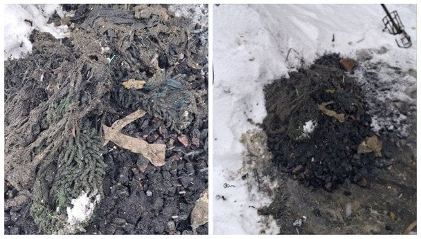 В Черкасах комунальники витягли з каналізації те, чого ніхто не очікує побачити в унітазі (фото)