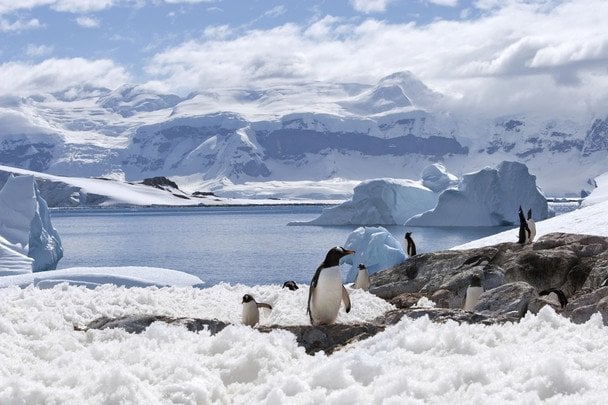 В Антарктиці зафіксували крижаний міст із тунелем (відео)