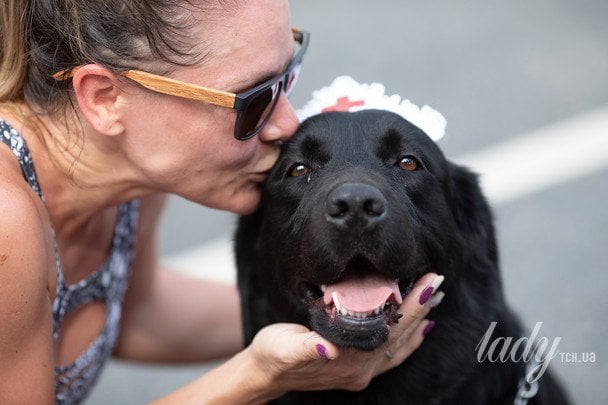 Експертка назвала 11 ознак, які доводять, що ваш собака вас справді любить