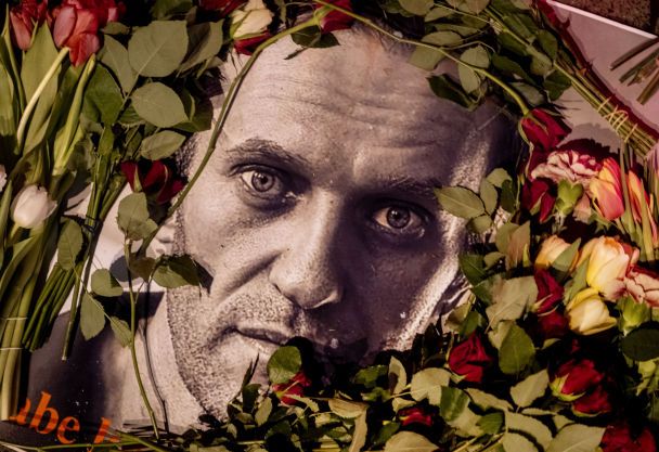 Токсин замість “Новичка”: чому для вбивства Навального використали отруту жаб