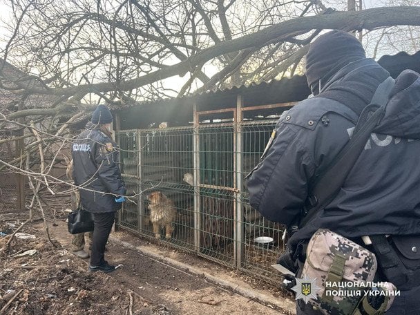 Майже 100 собак тримали серед бруду та сміття: кримінальний скандал із розплідником на Одещині Майже 100 собак тримали серед бруду та сміття: кримінальний скандал із розплідником на Одещині