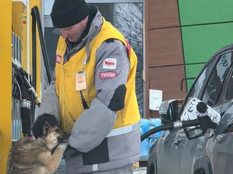"Дайте йому премію за добре серце". Відео за участю чоловіка й бездомного пса на заправці зворушило мережу