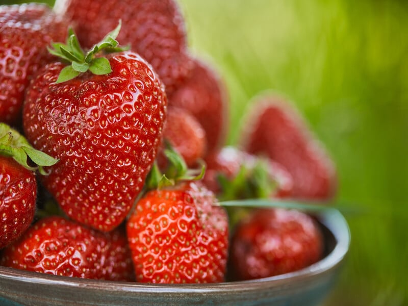 Аромат цієї полуниці відчутно на кілька метрів. Назвали найсолодший сорт