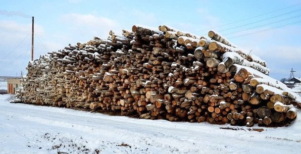 Заготівля дров: де можна купити їх офіційно