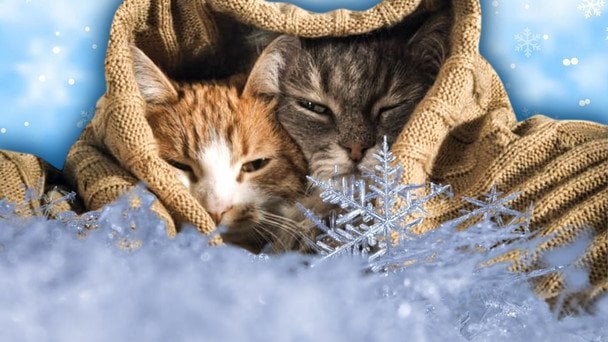 Зимі не кінець: синоптики попереджають про різкі зміни погоди в Україні (мапа)